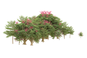 Realistic forest isolated on transparent background. 3d rendering - illustration png