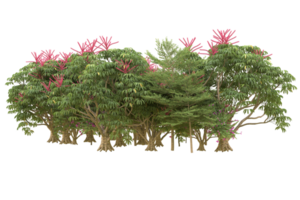 Realistic forest isolated on transparent background. 3d rendering - illustration png