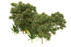 forêt réaliste isolée sur fond transparent. rendu 3d - illustration png