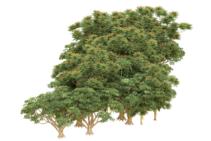 floresta realista isolada em fundo transparente. renderização 3D - ilustração png