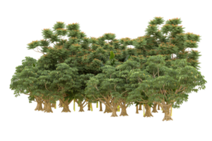 Realistic forest isolated on transparent background. 3d rendering - illustration png