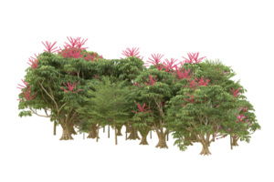 Realistic forest isolated on transparent background. 3d rendering - illustration png