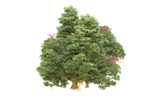 forêt réaliste isolée sur fond transparent. rendu 3d - illustration png