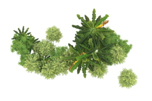 Realistic forest isolated on transparent background. 3d rendering - illustration png