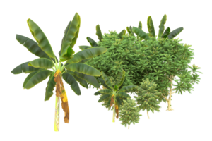Realistic forest isolated on transparent background. 3d rendering - illustration png