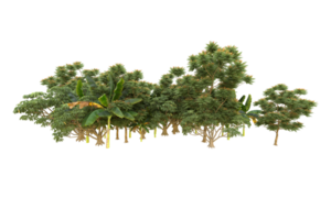 realistico foresta isolato su trasparente sfondo. 3d interpretazione - illustrazione png