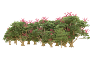 Realistic forest isolated on transparent background. 3d rendering - illustration png