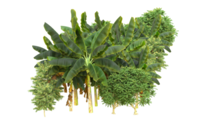 Realistic forest isolated on transparent background. 3d rendering - illustration png