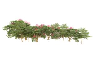 forêt réaliste isolée sur fond transparent. rendu 3d - illustration png