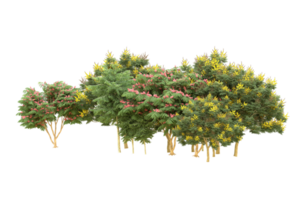 forêt réaliste isolée sur fond transparent. rendu 3d - illustration png