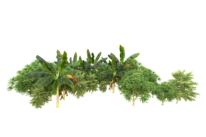Realistic forest isolated on transparent background. 3d rendering - illustration png