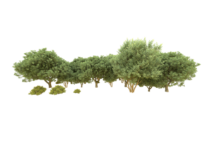 Realistic forest isolated on transparent background. 3d rendering - illustration png
