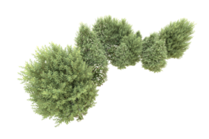 Realistic forest isolated on transparent background. 3d rendering - illustration png