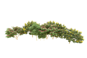 forêt réaliste isolée sur fond transparent. rendu 3d - illustration png