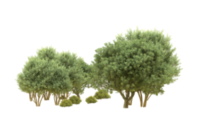 Realistic forest isolated on transparent background. 3d rendering - illustration png