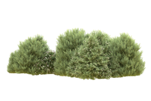 Realistic forest isolated on transparent background. 3d rendering - illustration png