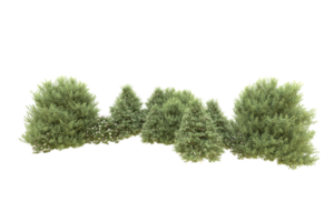 Realistic forest isolated on transparent background. 3d rendering - illustration png