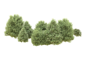 Realistic forest isolated on transparent background. 3d rendering - illustration png