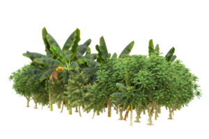 Realistic forest isolated on transparent background. 3d rendering - illustration png