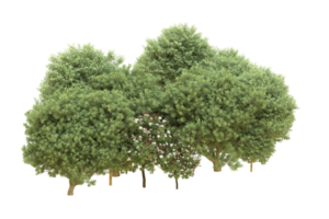 Realistic forest isolated on transparent background. 3d rendering - illustration png