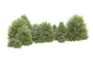 Realistic forest isolated on transparent background. 3d rendering - illustration png