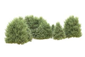 Realistic forest isolated on transparent background. 3d rendering - illustration png