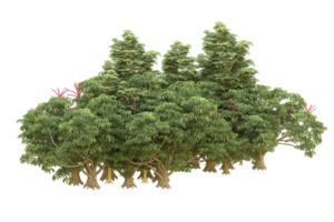Realistic forest isolated on transparent background. 3d rendering - illustration png