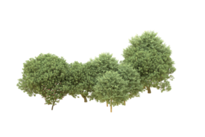 Realistic forest isolated on transparent background. 3d rendering - illustration png