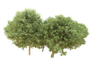 Realistic forest isolated on transparent background. 3d rendering - illustration png