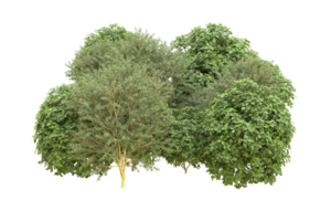 Realistic forest isolated on transparent background. 3d rendering - illustration png