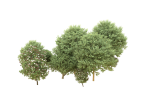Realistic forest isolated on transparent background. 3d rendering - illustration png