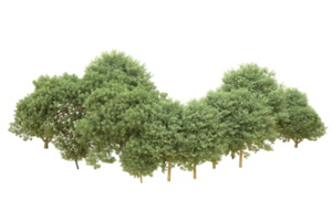 Realistic forest isolated on transparent background. 3d rendering - illustration png