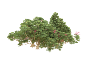 Realistic forest isolated on transparent background. 3d rendering - illustration png