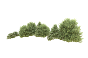 Realistic forest isolated on transparent background. 3d rendering - illustration png