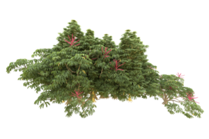 forêt réaliste isolée sur fond transparent. rendu 3d - illustration png