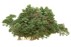 Realistic forest isolated on transparent background. 3d rendering - illustration png