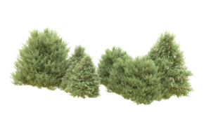 Realistic forest isolated on transparent background. 3d rendering - illustration png