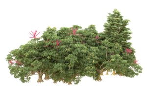 Realistic forest isolated on transparent background. 3d rendering - illustration png