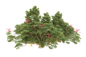 Realistic forest isolated on transparent background. 3d rendering - illustration png