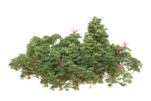 Realistic forest isolated on transparent background. 3d rendering - illustration png