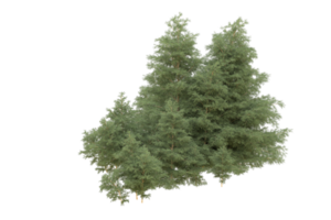 forêt réaliste isolée sur fond transparent. rendu 3d - illustration png