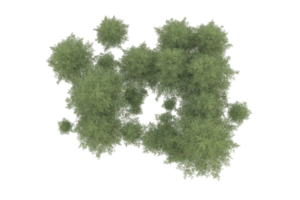 Realistic forest isolated on transparent background. 3d rendering - illustration png
