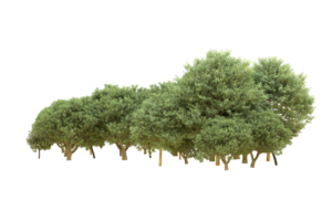 Realistic forest isolated on transparent background. 3d rendering - illustration png