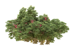 Realistic forest isolated on transparent background. 3d rendering - illustration png