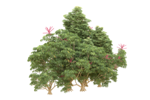 forêt réaliste isolée sur fond transparent. rendu 3d - illustration png