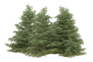 Realistic forest isolated on transparent background. 3d rendering - illustration png