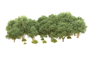 Realistic forest isolated on transparent background. 3d rendering - illustration png