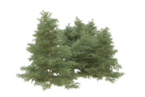 Realistic forest isolated on transparent background. 3d rendering - illustration png