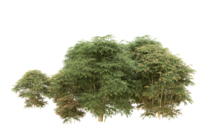 forêt réaliste isolée sur fond transparent. rendu 3d - illustration png