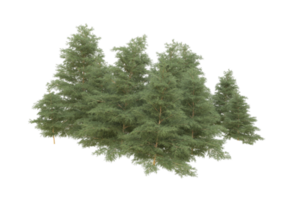 Realistic forest isolated on transparent background. 3d rendering - illustration png